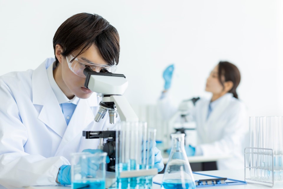 DMC生命科学研究所での研究活動イメージ
